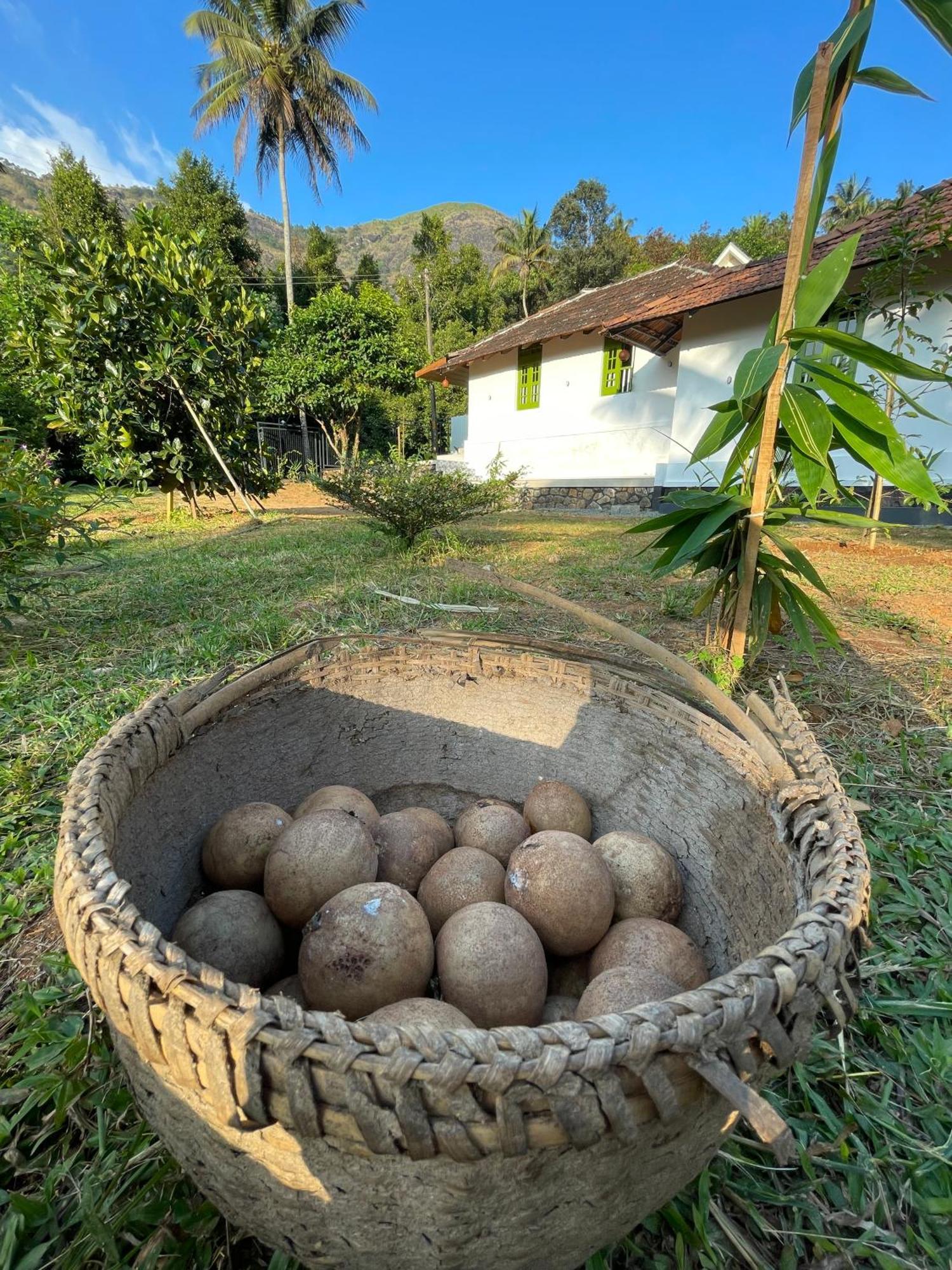 Calm Shack - 2 Bedroom-Boutique Farm Stay Munnar Esterno foto