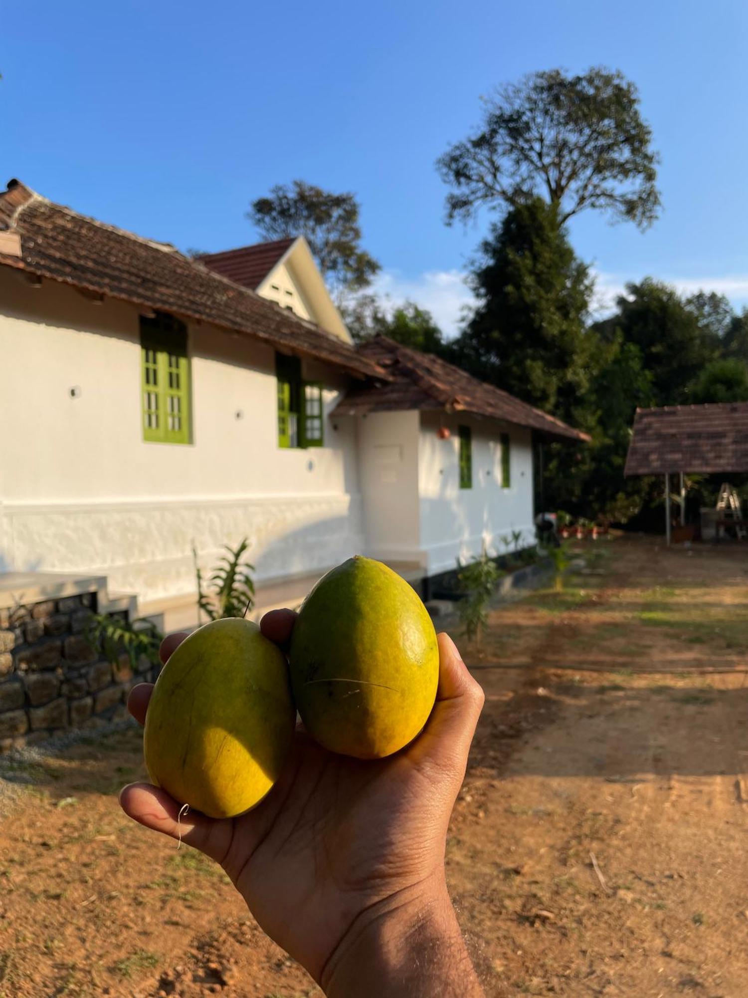 Calm Shack - 2 Bedroom-Boutique Farm Stay Munnar Esterno foto