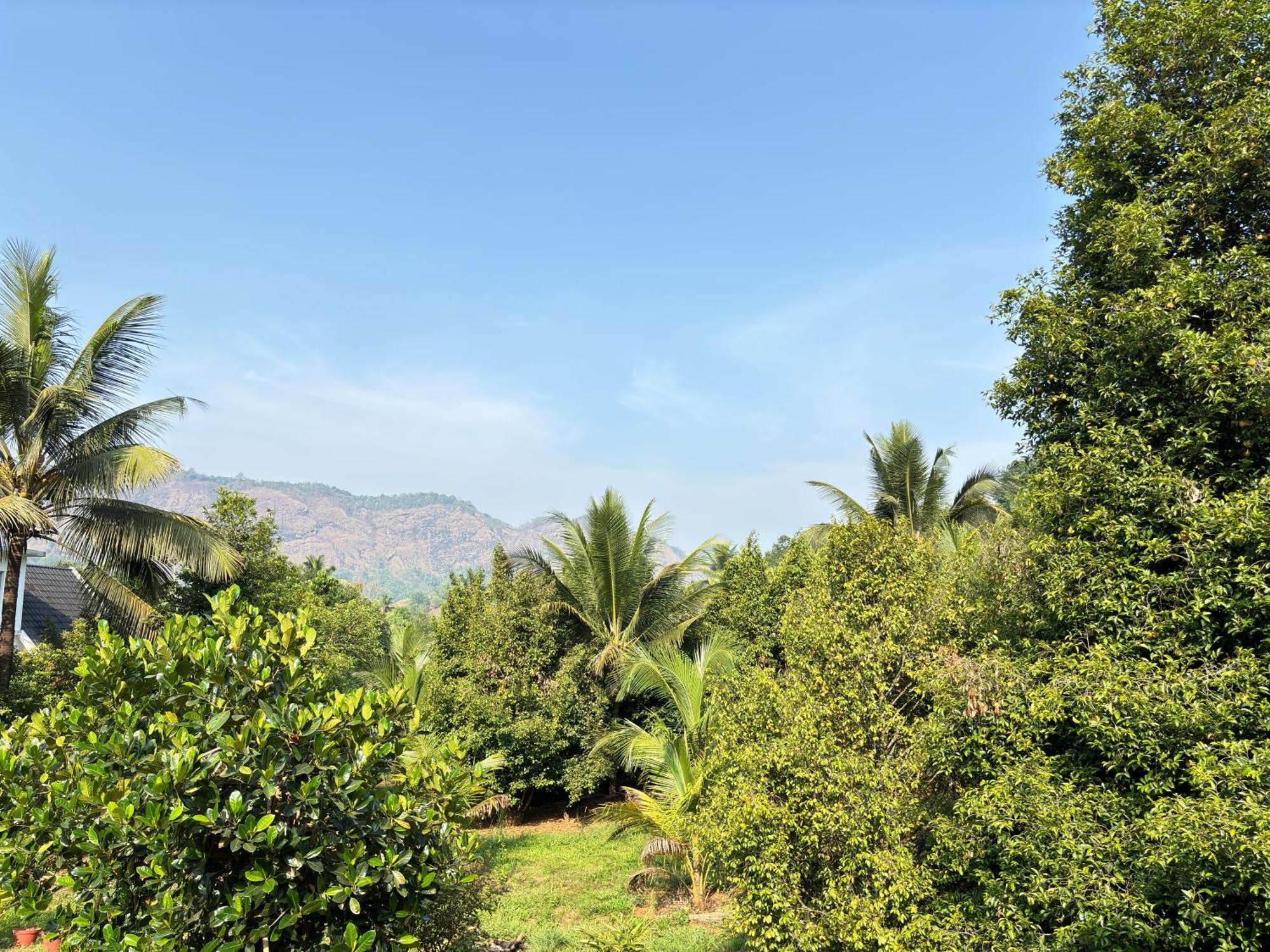 Calm Shack - 2 Bedroom-Boutique Farm Stay Munnar Esterno foto