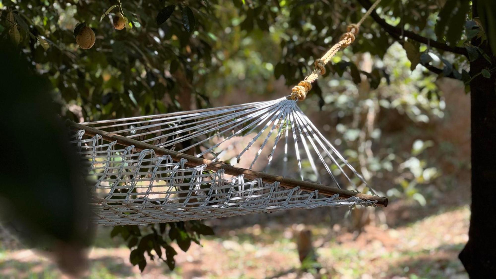 Calm Shack - 2 Bedroom-Boutique Farm Stay Munnar Esterno foto